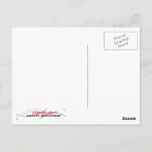 Hot Rods Briefkaart (Achterkant)