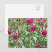 Hot-roze bloemen briefkaart (Voorkant / Achterkant)