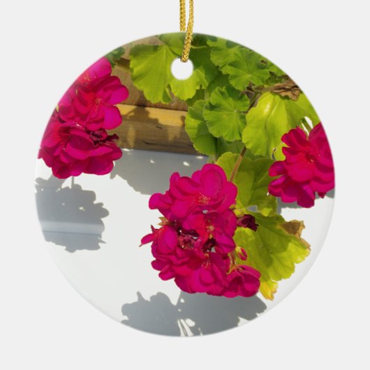 HOt roze bloemen Roze Geranium Keramisch Ornament (Voorkant)