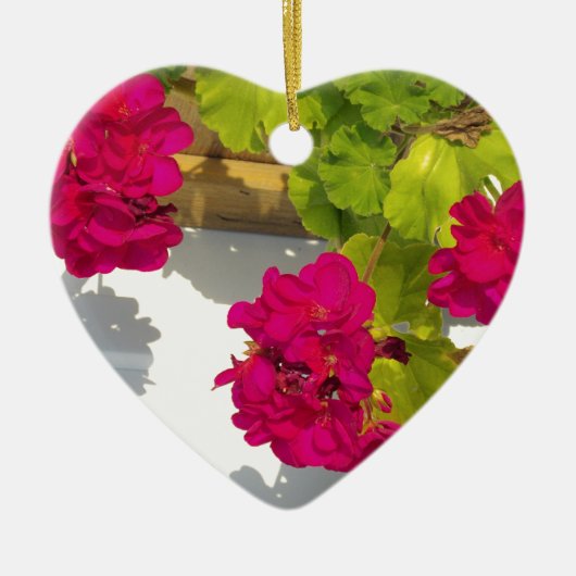 HOt roze bloemen Roze Geranium Keramisch Ornament (Voorkant)