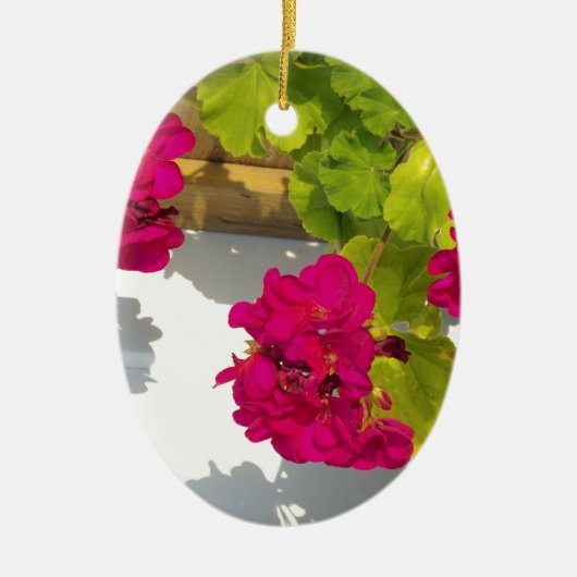 HOt roze bloemen Roze Geranium Keramisch Ornament (Voorkant)
