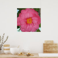 Hot-Roze Camellia die op een boom groeit,