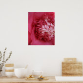 Hot-Roze Camellia Poster (Keuken)