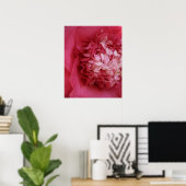 Hot-Roze Camellia Poster (Thuiskantoor)