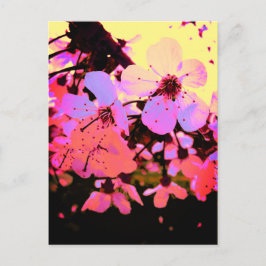 Hot-roze Cherry Blossom Briefkaart