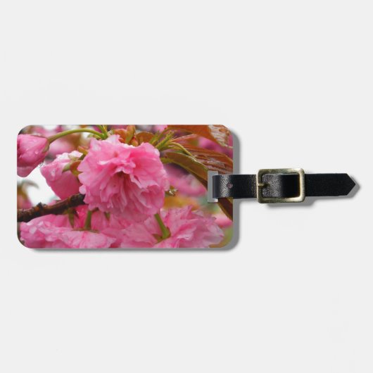 Hot-roze Cherry Blossom Flowers Bagagelabel (Voorkant horizontaal)