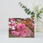 Hot-roze Cherry Blossom Flowers Briefkaart (Staand voorkant)