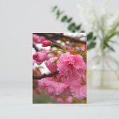 Hot-roze Cherry Blossom Flowers Briefkaart (Staand voorkant)