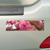 Hot-roze Cherry Blossom Flowers Bumpersticker (Op auto)