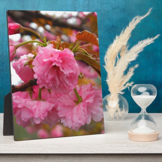 Hot-roze Cherry Blossom Flowers Fotoplaat (Zijkant)