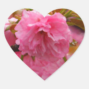 Hot-roze Cherry Blossom Flowers Hart Sticker