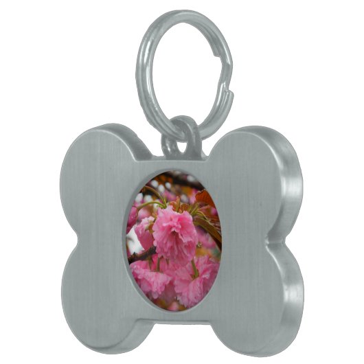 Hot-roze Cherry Blossom Flowers Huisdieren Naamplaatje (Voorkant Rechts)