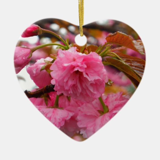 Hot-roze Cherry Blossom Flowers Keramisch Ornament (Voorkant)