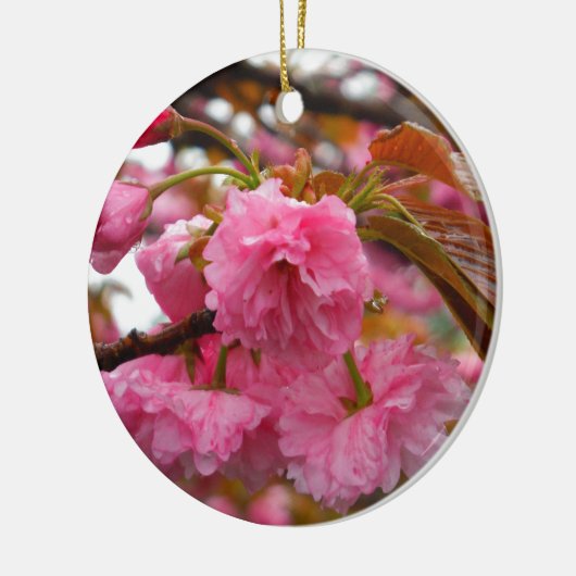 Hot-roze Cherry Blossom Flowers Keramisch Ornament (Links)