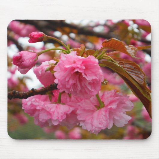 Hot-roze Cherry Blossom Flowers Muismat (Voorkant)