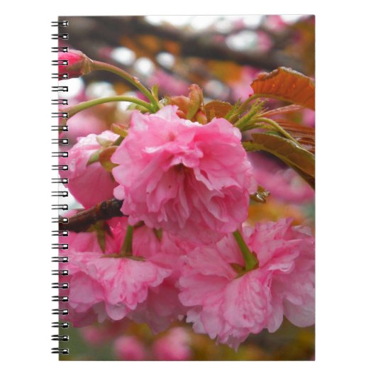Hot-roze Cherry Blossom Flowers Notitieboek (Voorkant)