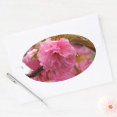 Hot-roze Cherry Blossom Flowers Ovale Sticker (Envelop)