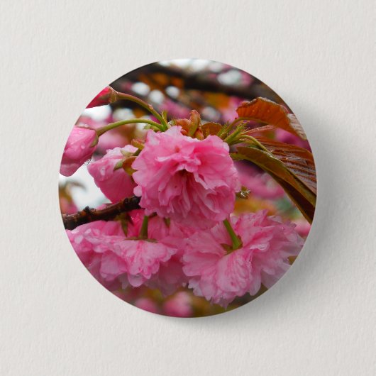 Hot-roze Cherry Blossom Flowers Ronde Button 5,7 Cm (Voorkant)