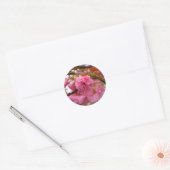 Hot-roze Cherry Blossom Flowers Ronde Sticker (Envelop)