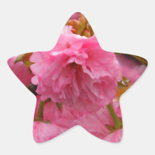 Hot-roze Cherry Blossom Flowers Ster Sticker