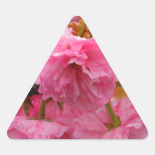 Hot-roze Cherry Blossom Flowers Sticker