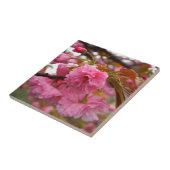 Hot-roze Cherry Blossom Flowers Tegeltje (Zijkant)