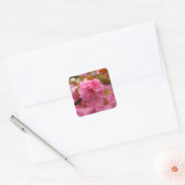 Hot-roze Cherry Blossom Flowers Vierkante Sticker (Envelop)