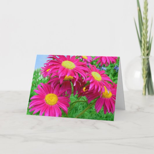 Hot-roze Daisies Bedankkaart (Voorkant)