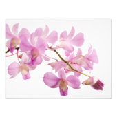 Hot-roze Dendrobium Orchid Flower Orchids Sjabloon Foto Afdruk (Voorkant)