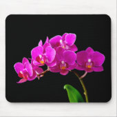 Hot-roze Dendrobium Orchid Flower Orchids Sjabloon Muismat (Voorkant)