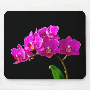 Hot-roze Dendrobium Orchid Flower Orchids Sjabloon Muismat