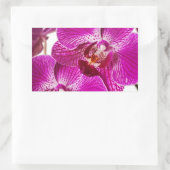 Hot-roze dendrobium orchid - Orchideeën achtergron Rechthoekige Sticker (Tas)