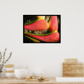 Hot-roze Heliconia-ventilator Poster afdrukken (Keuken)