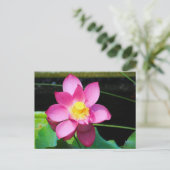 Hot-roze Lotus Flower Briefkaart (Staand voorkant)