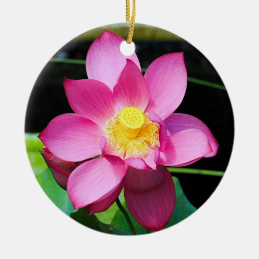Hot-roze Lotus Flower Keramisch Ornament (Voorkant)