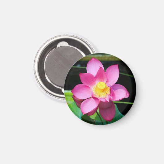 Hot-roze Lotus Flower Magneet (Voorkant / Achterkant)
