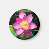 Hot-roze Lotus Flower Magneet (Voorkant)