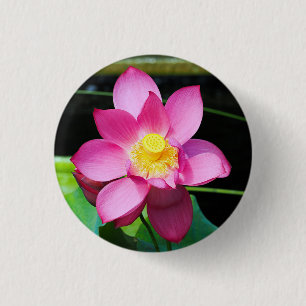 Hot-roze Lotus Flower Ronde Button 3,2 Cm