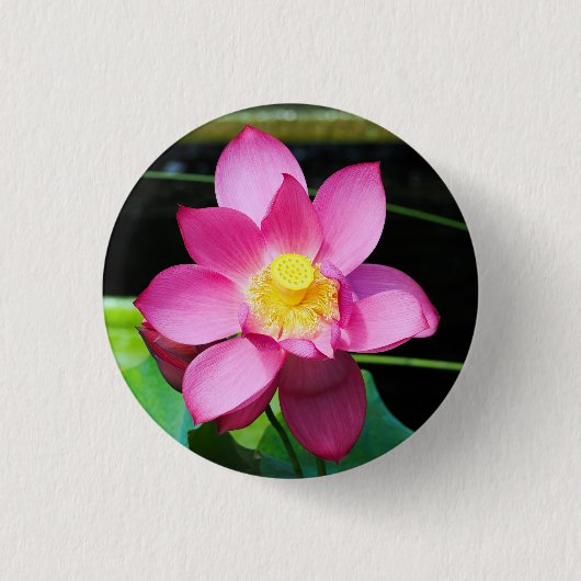 Hot-roze Lotus Flower Ronde Button 3,2 Cm (Voorkant)