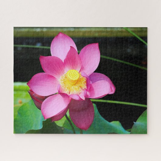 Hot roze Lotus Legpuzzel (Horizontaal)
