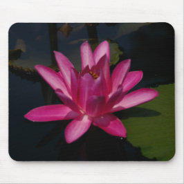 Hot-roze Lotus Waterlily Muismat