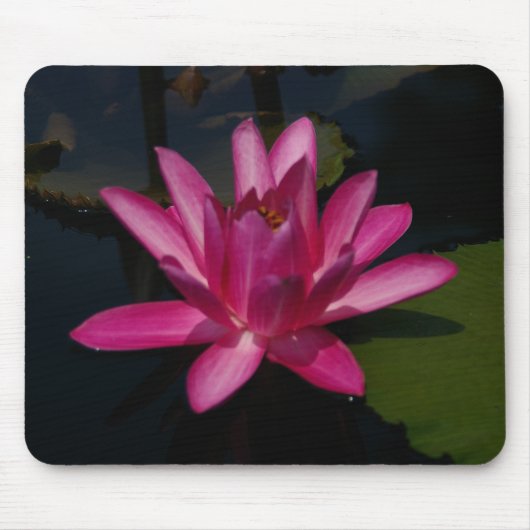 Hot-roze Lotus Waterlily Muismat (Voorkant)
