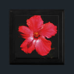 Hot-roze rode hibiscus-bloem op zwart cadeaudoosje<br><div class="desc">Mooie foto van een hotroze rode hibiscus-bloem op zwart door kunstenaar Sandra Marie Closs. Voeg je eigen tekst, naam of monogram toe aan creëer het perfecte product voor elke keer. Wedden, feestfeest, sympathie, verjaardag, baby shower, een feest of gewoon om je dag wat mooier te maken. bloem, bloem, bloemen, kleurrijke...</div>
