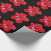 Hot-roze rode hibiscus-bloem op zwart cadeaupapier (Hoek)