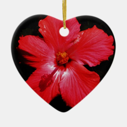 Hot-roze rode hibiscus-bloem op zwart keramisch ornament (Voorkant)