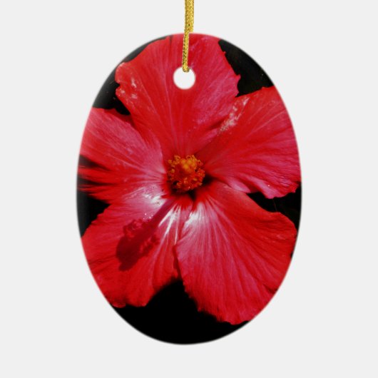 Hot-roze rode hibiscus-bloem op zwart keramisch ornament (Voorkant)