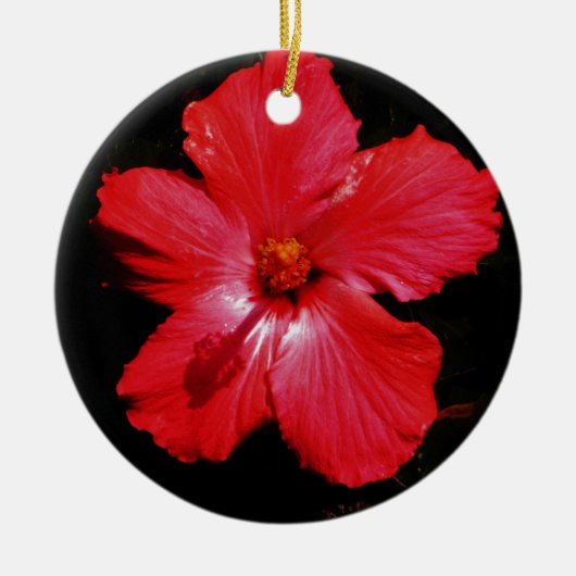 Hot-roze rode hibiscus-bloem op zwart keramisch ornament (Voorkant)