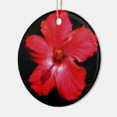 Hot-roze rode hibiscus-bloem op zwart keramisch ornament (Links)