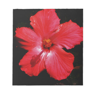Hot-roze rode hibiscus-bloem op zwart notitieblok