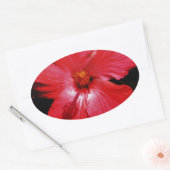 Hot-roze rode hibiscus-bloem op zwart ovale sticker (Envelop)